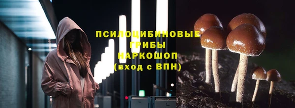 шишки Козельск