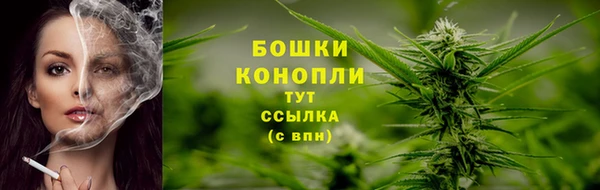 шишки Козельск