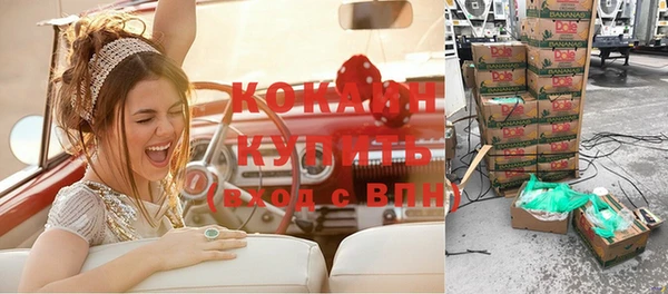 шишки Козельск