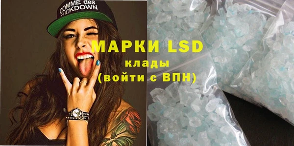 шишки Козельск