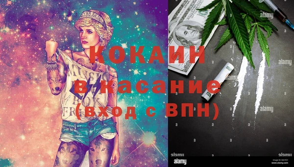 шишки Козельск